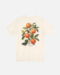 RIVIERA GROVE T-SHIRT